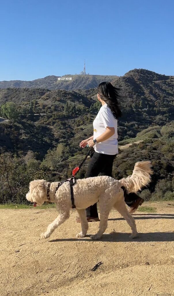 Griffith Park on a first trip to Los Angeles